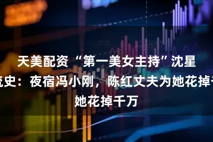 天美配资 “第一美女主持”沈星风流史：夜宿冯小刚，陈红丈夫为她花掉千万