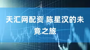 天汇网配资 陈星汉的未竟之旅